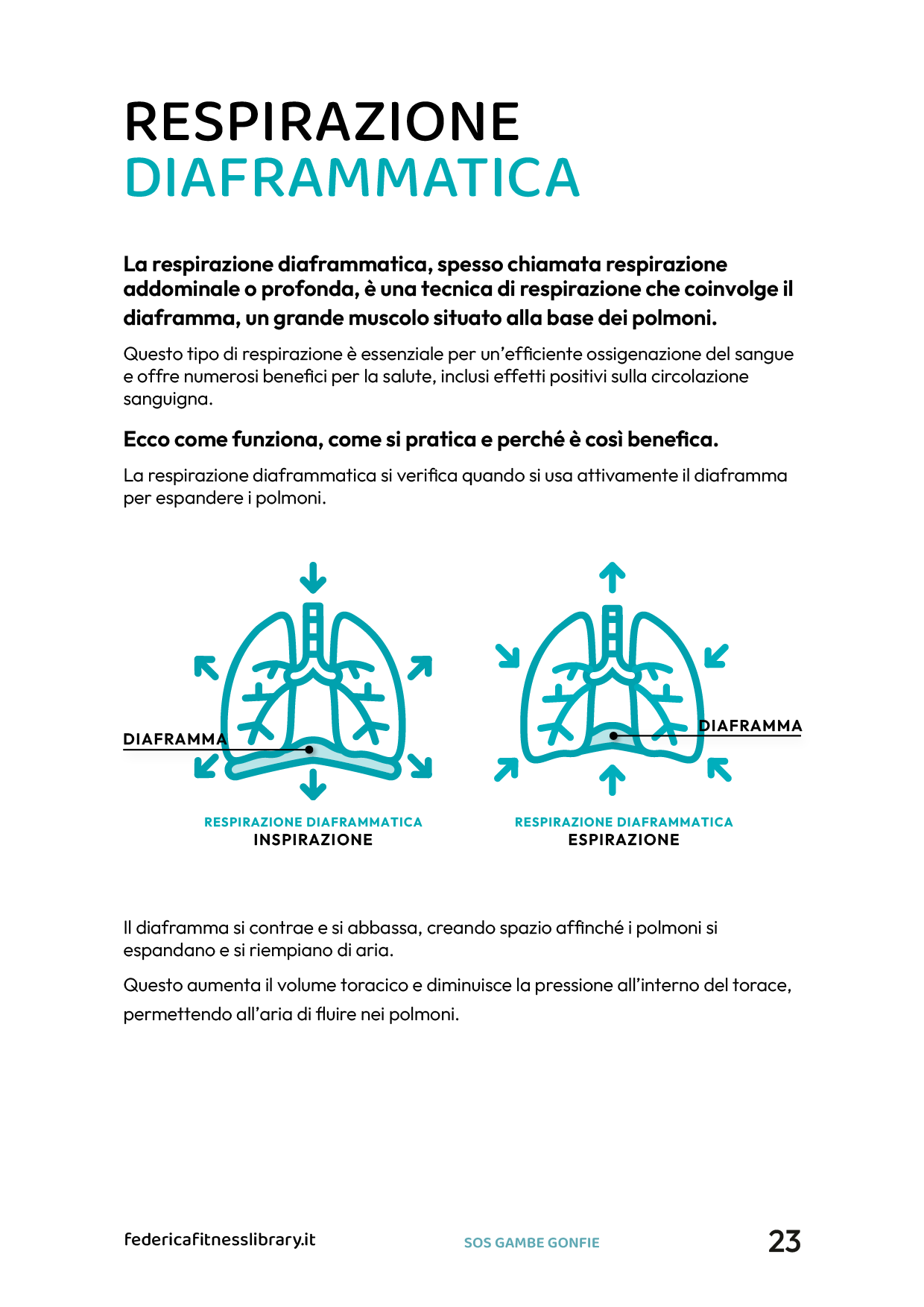 SOS Gambe Gonfie - immagine 3