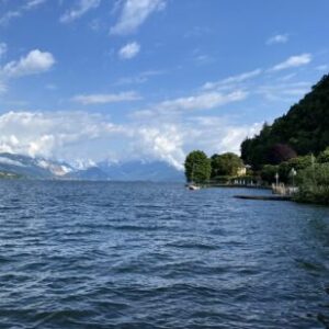 Foto profilo di Giuliana de Cubellis