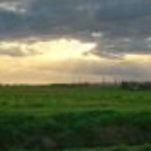 Foto profilo di Marina Gorreri