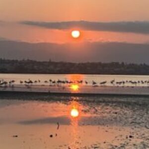 Foto profilo di Benedetta Loddo