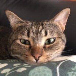 Foto profilo di caterina doni