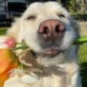 Foto profilo di Chiara Maria Friselli