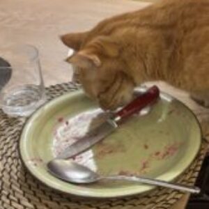 Foto profilo di martina frigerio