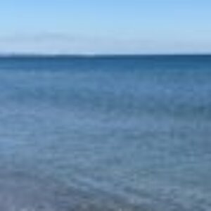 Foto profilo di Miriam Malvani