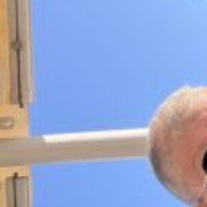 Foto profilo di Monica Pertosa