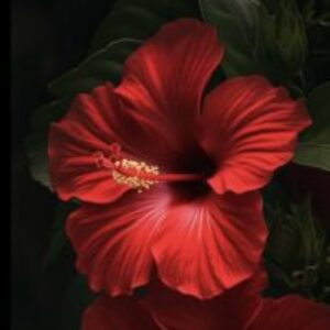 Foto profilo di Flo D.