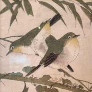 Foto profilo di Serena Sterza