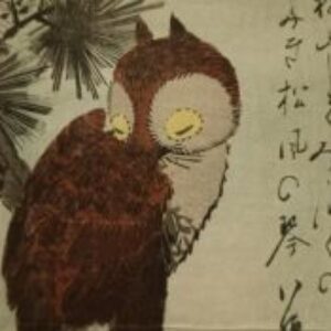 Foto profilo di Serena Sterza