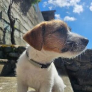 Foto profilo di monicamanto25