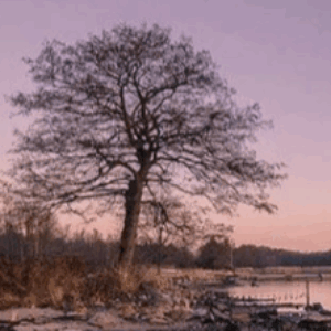 Foto profilo di Giulia Kasperkovitz